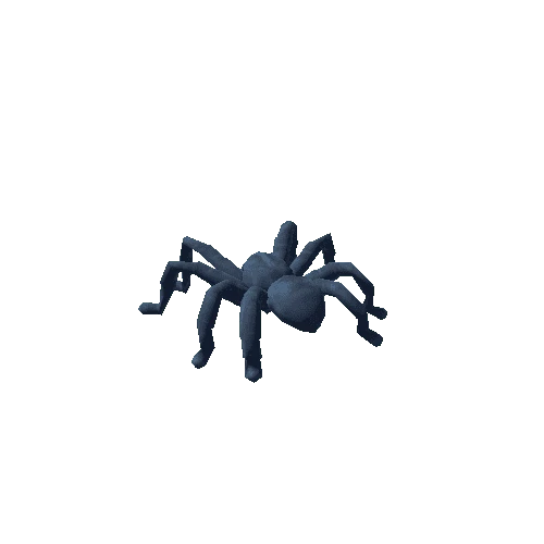 blue tarantula